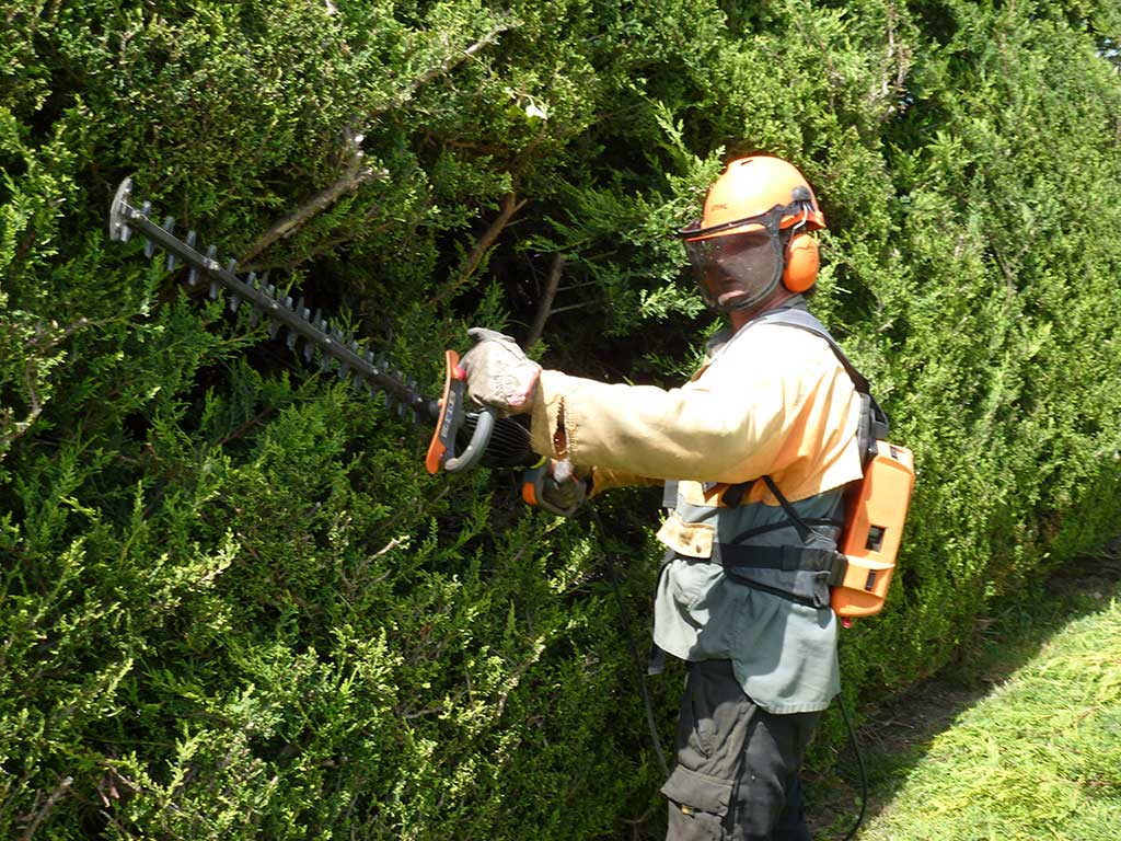 image entretien espaces verts