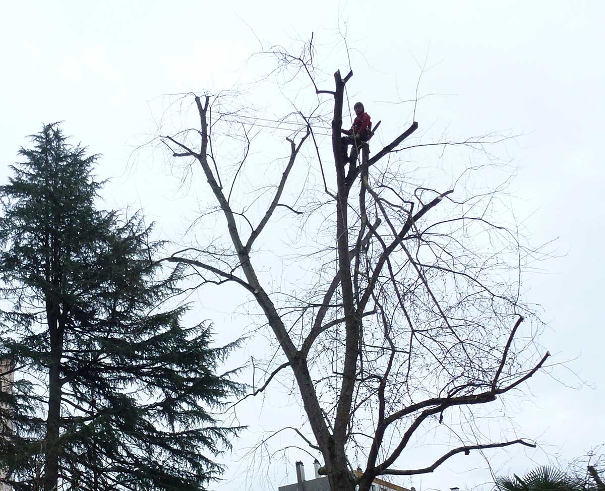 image travaux en hauteur